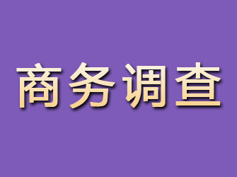 泾川商务调查